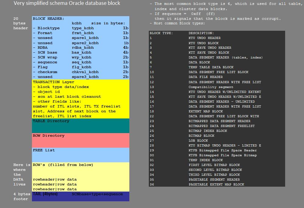 is allocated to the EMPLOYEE1 table.